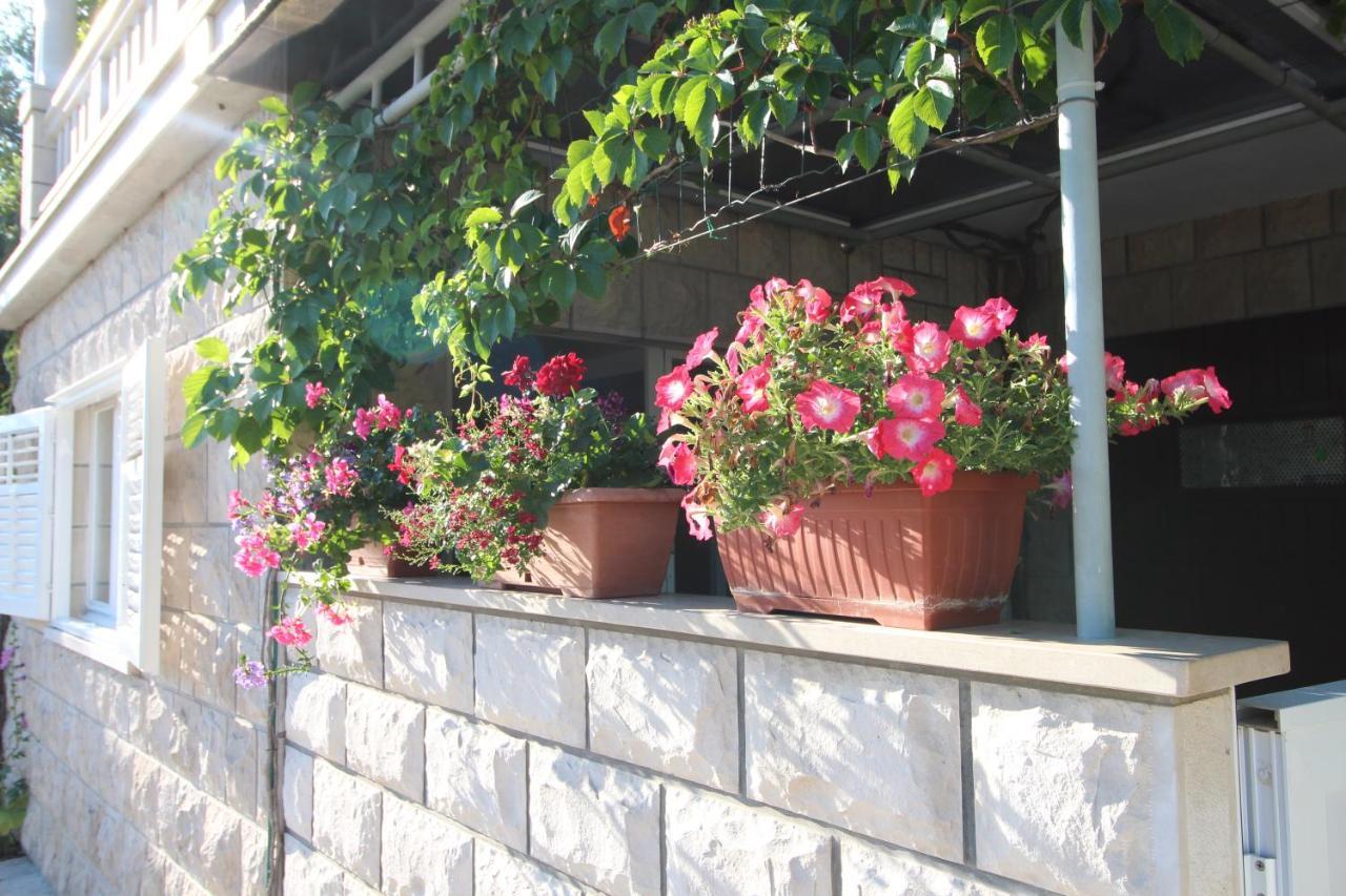 Apartment Ruzica Zrnovo Экстерьер фото